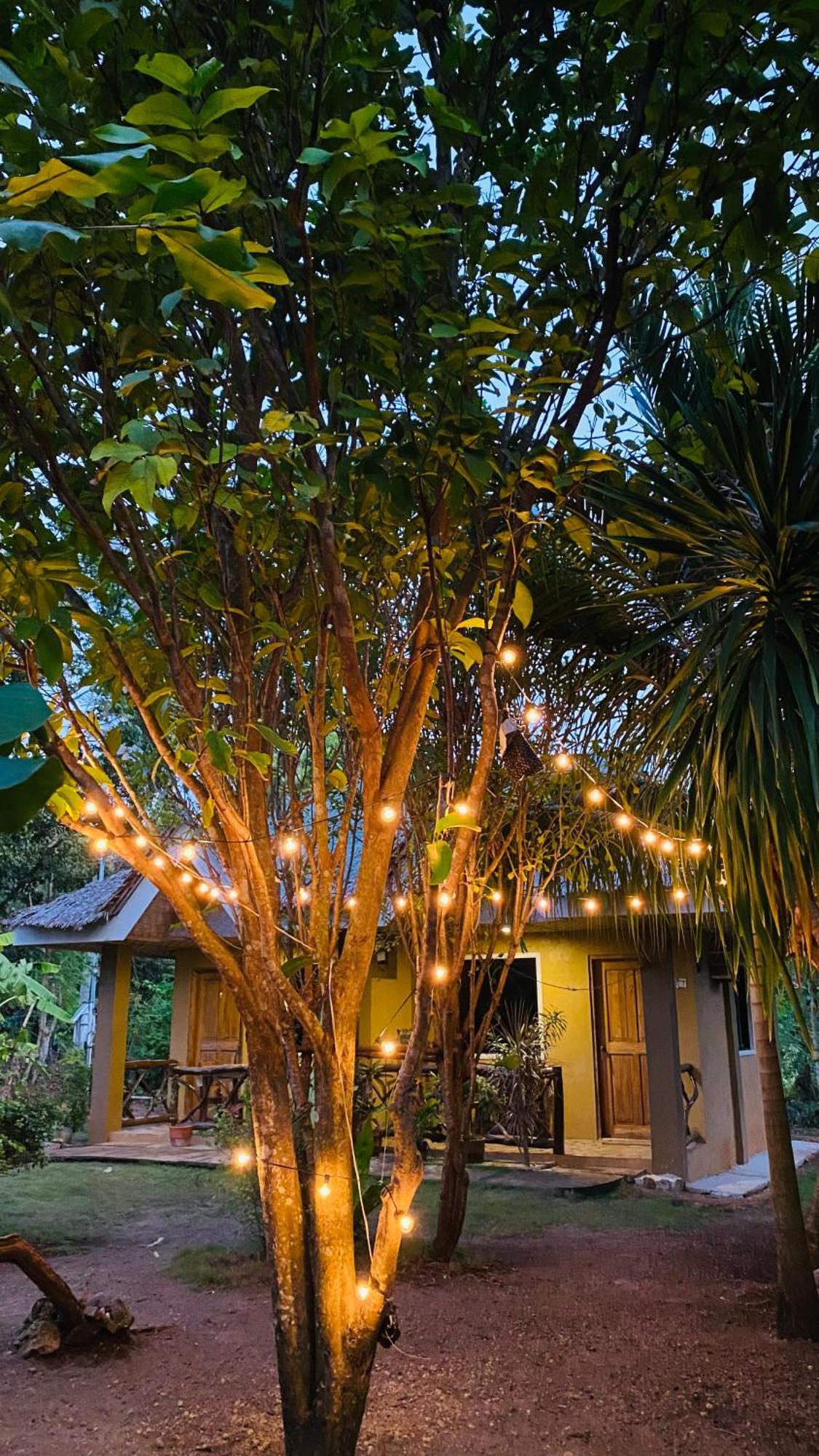 סיקיהור Miki'S Guest House מראה חיצוני תמונה