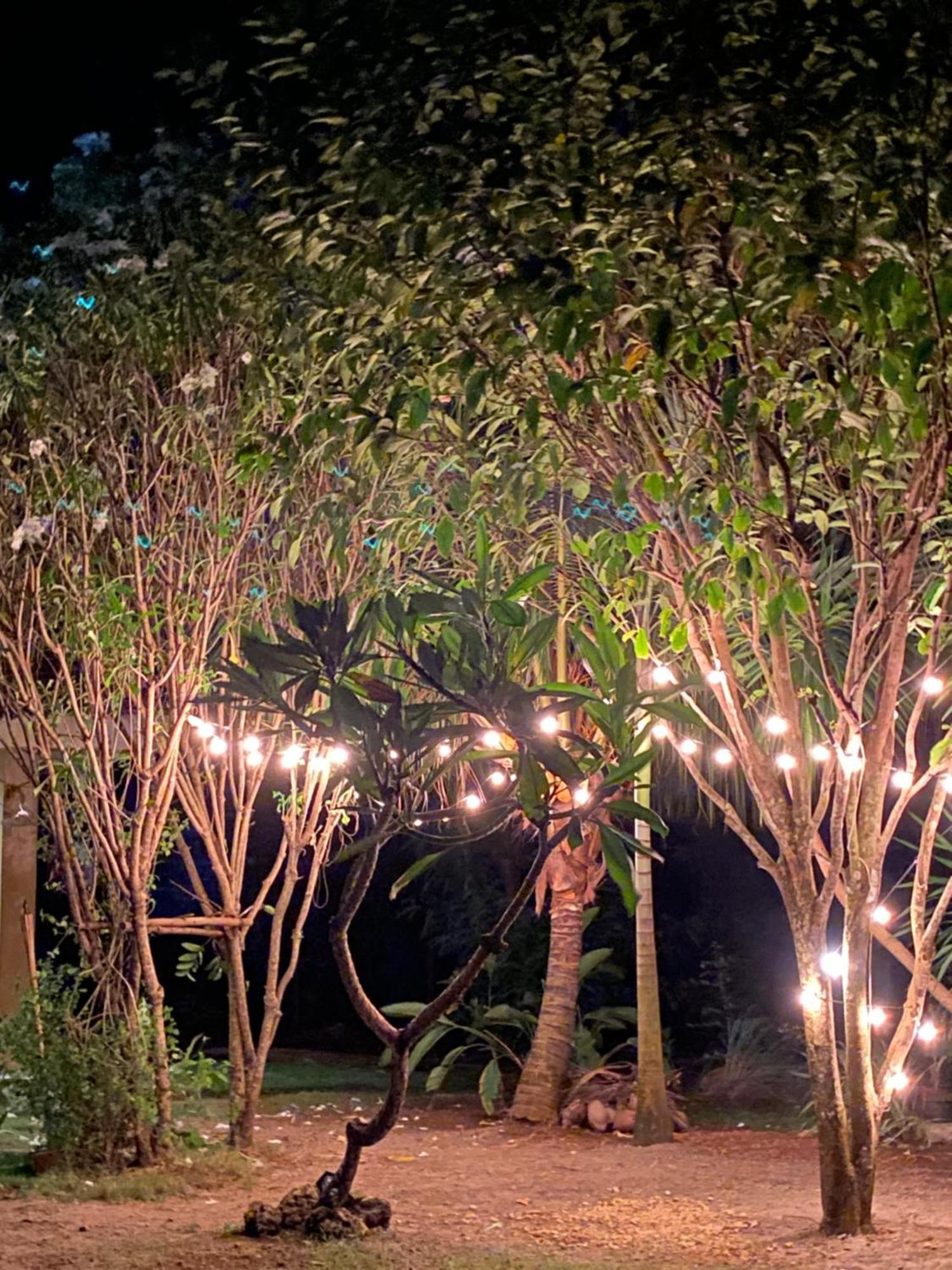 סיקיהור Miki'S Guest House מראה חיצוני תמונה