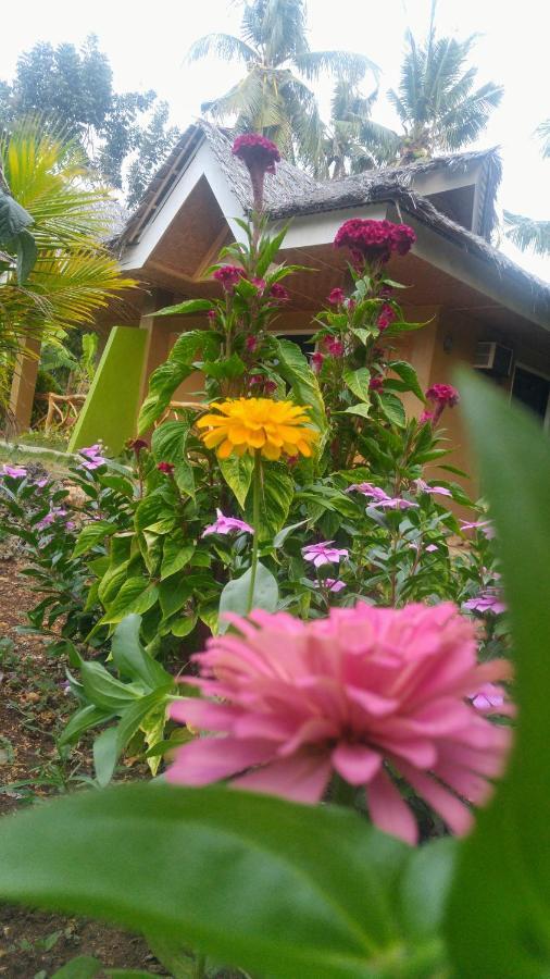 סיקיהור Miki'S Guest House מראה חיצוני תמונה